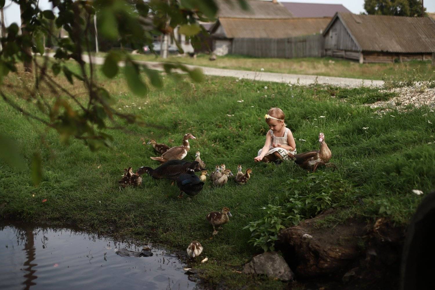 моя деревня