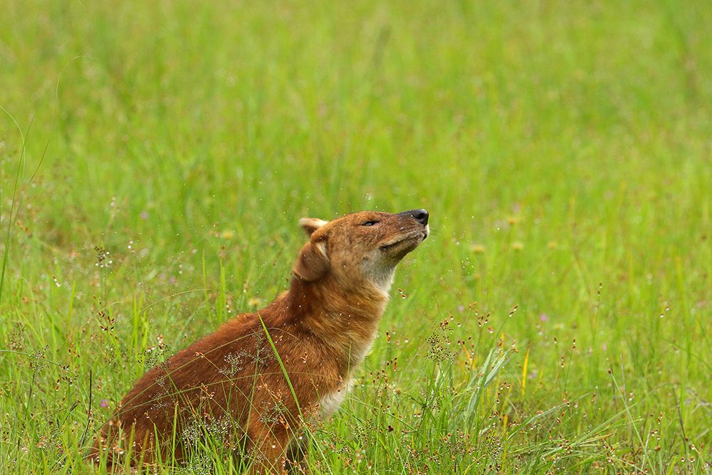 Photograph by Vinit Arora