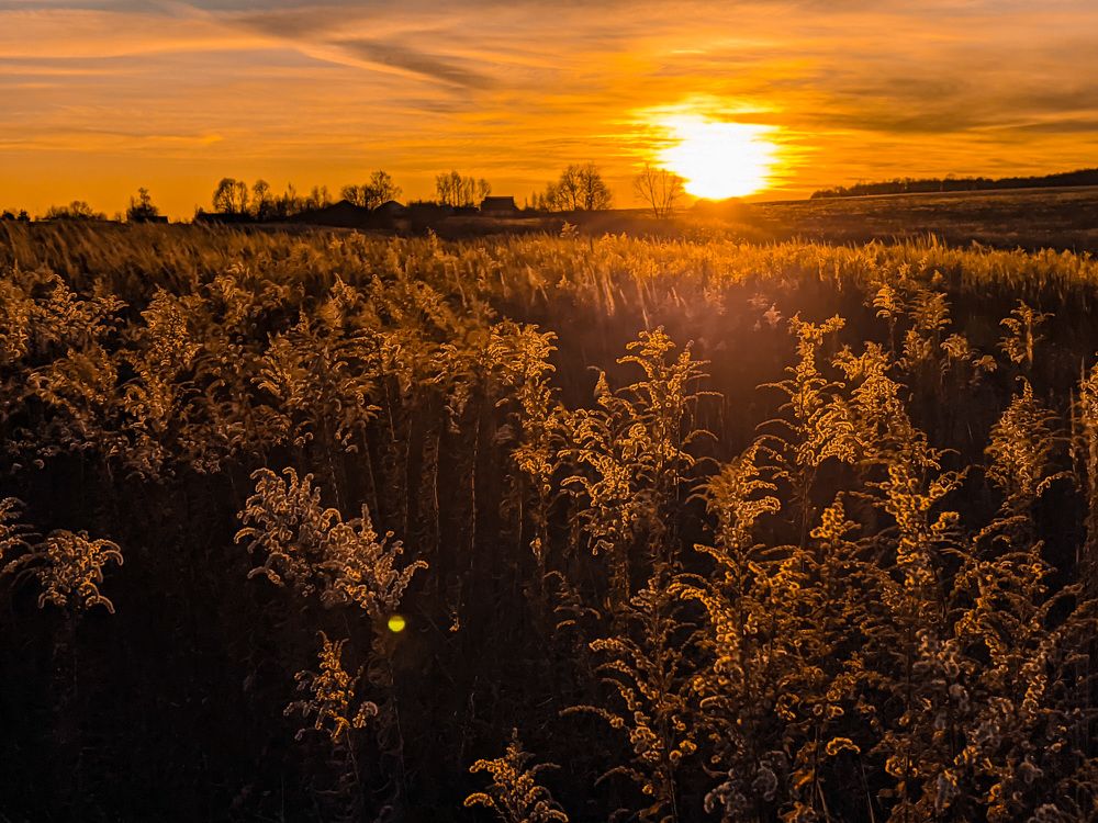 Photograph by Светлана Кондрашова