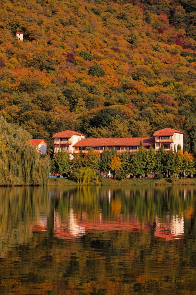 Photograph by Tinatin Gviniashvili-Chkhikvishvili