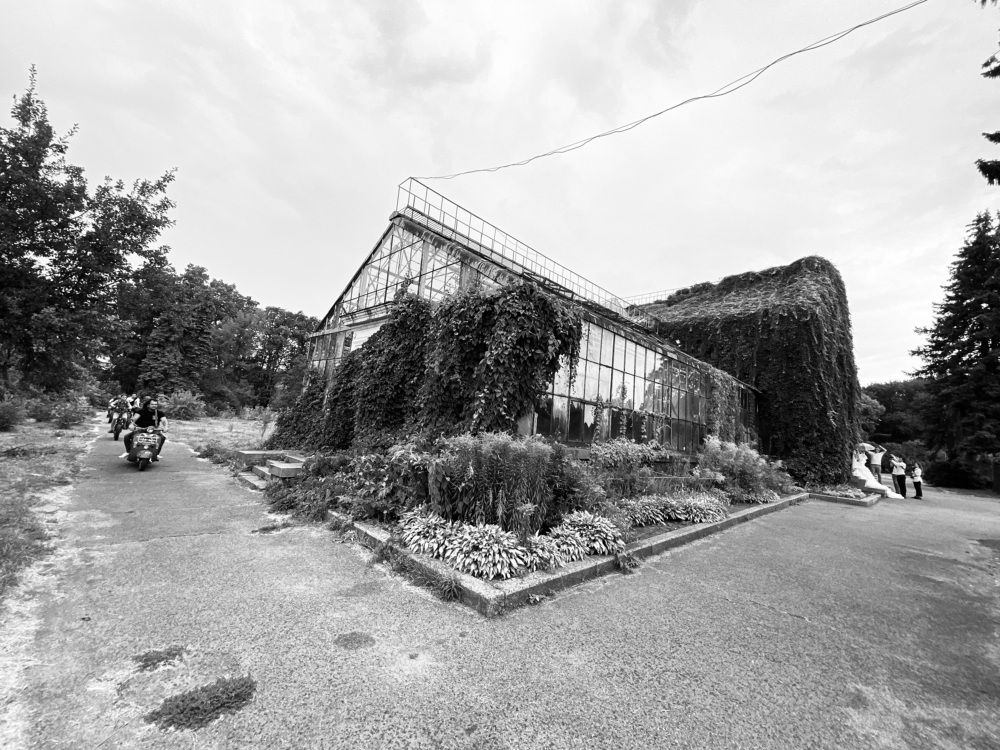 Photograph by Михаил Дмитренко