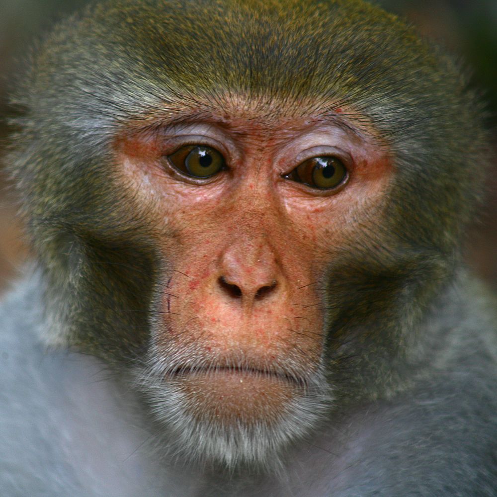 Фотография автора Sushunto Arinda