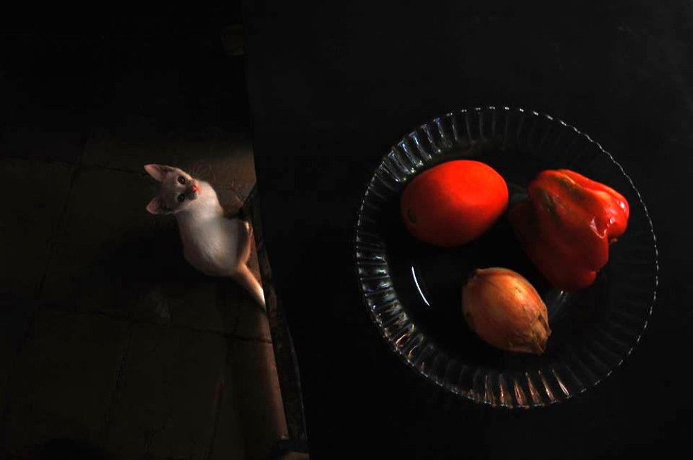 Photograph by Ruben Arteaga