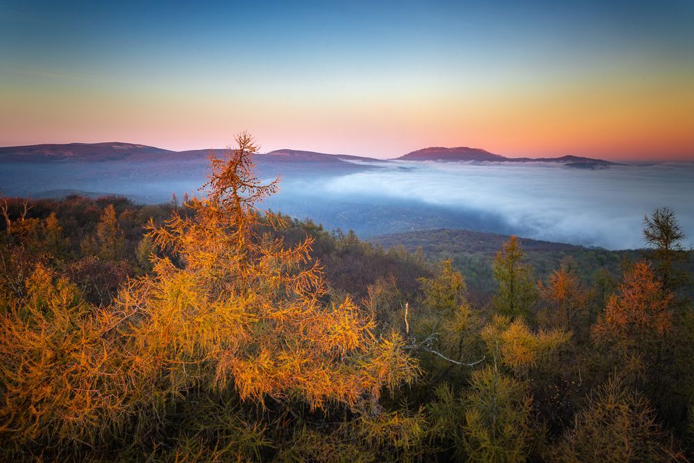 Malé Karpaty (Little Carphatians)