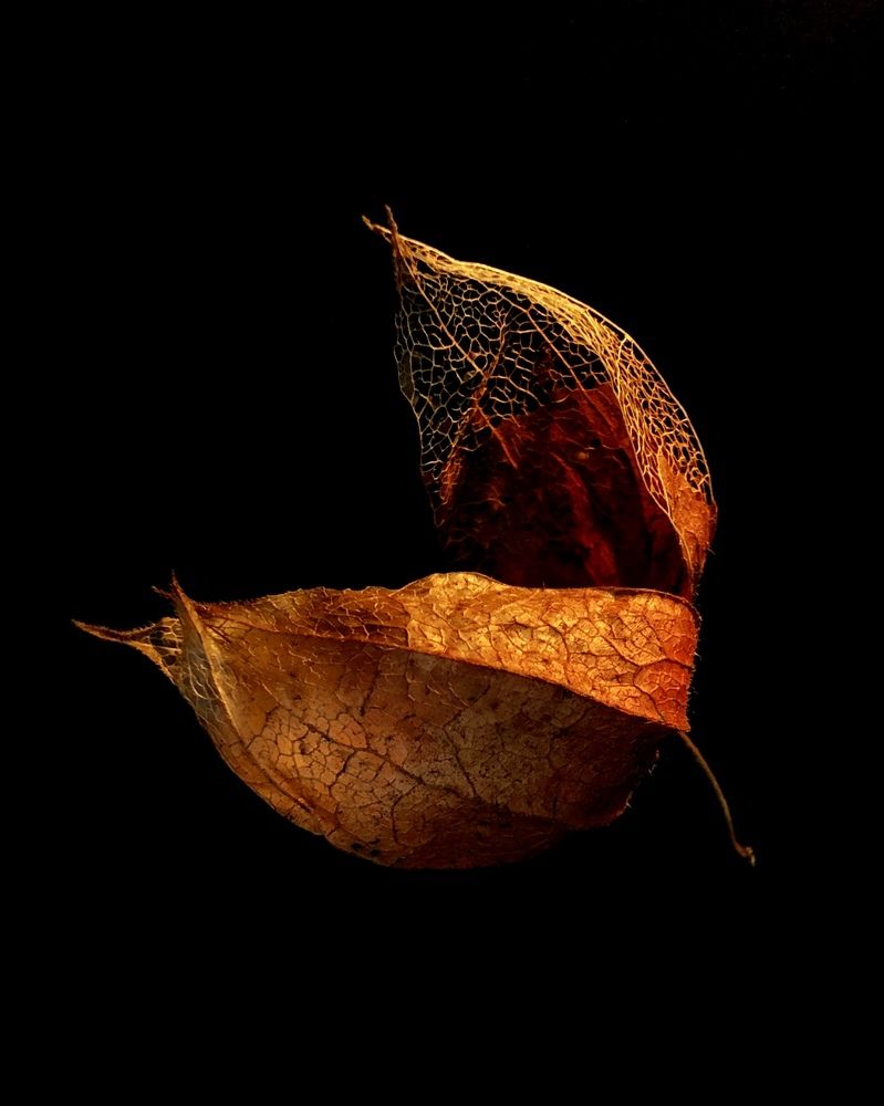 Photograph by Юлия Отставнова