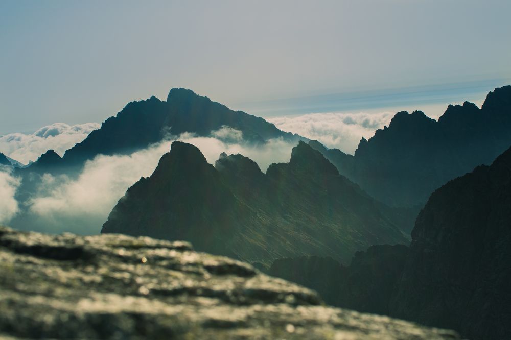 Photograph by Dominik Lipka