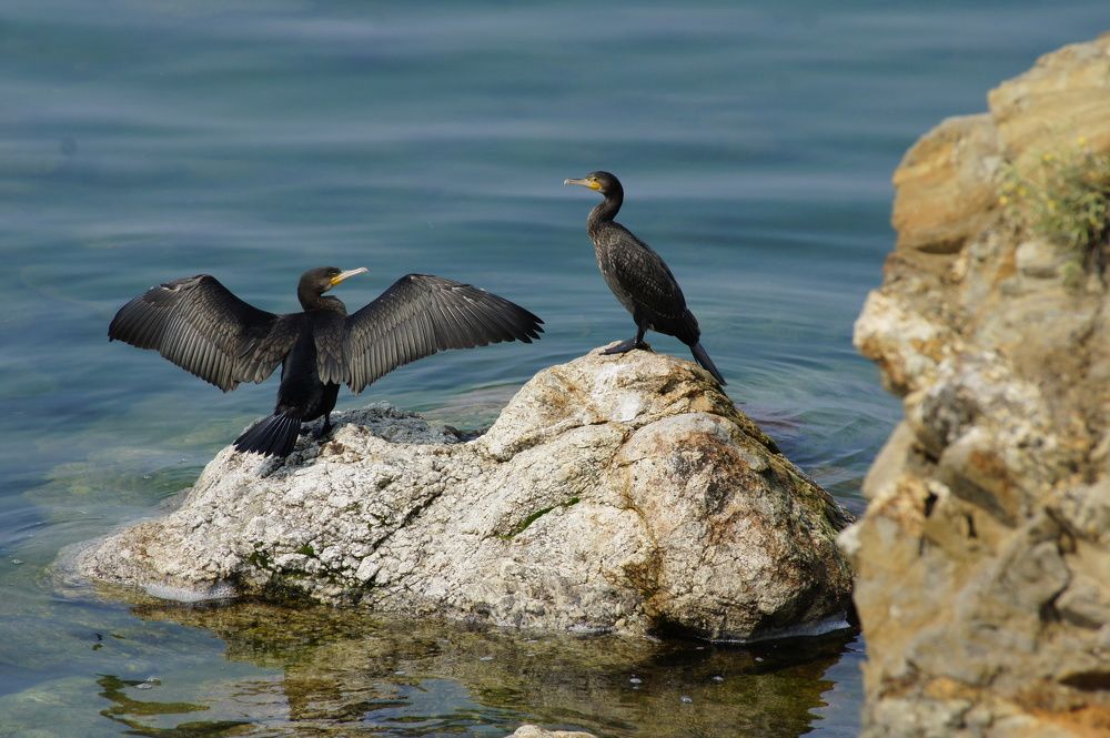 Photograph by Марина Рохлина