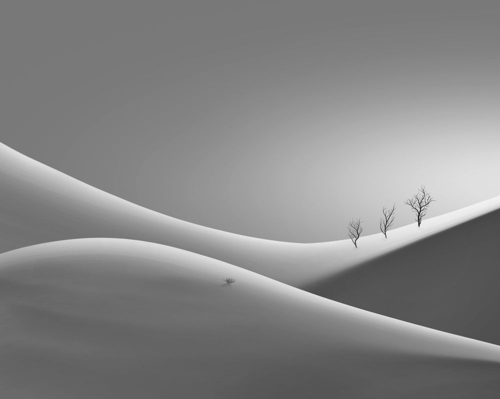 Фотография автора mehrdad Alizadeh