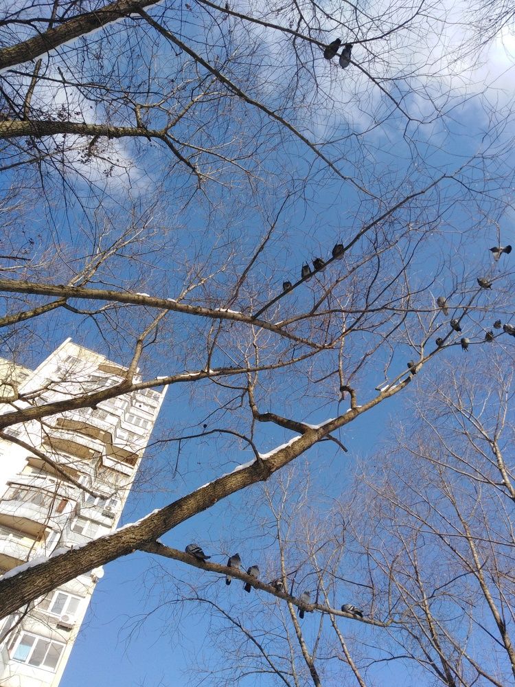 Photograph by Татьяна Ситникова