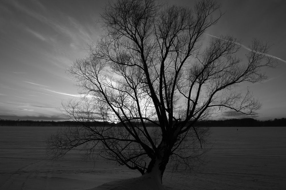 Photograph by Александр Кращук