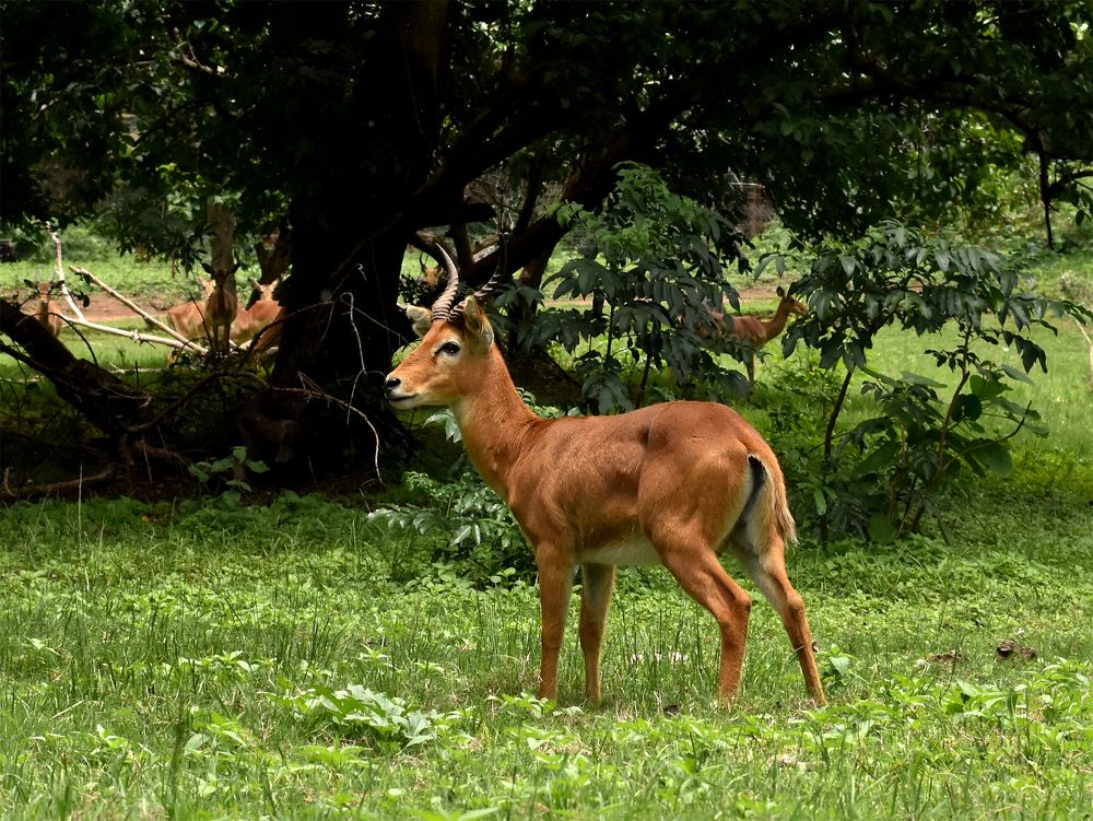 Photograph by Mwango Kasase