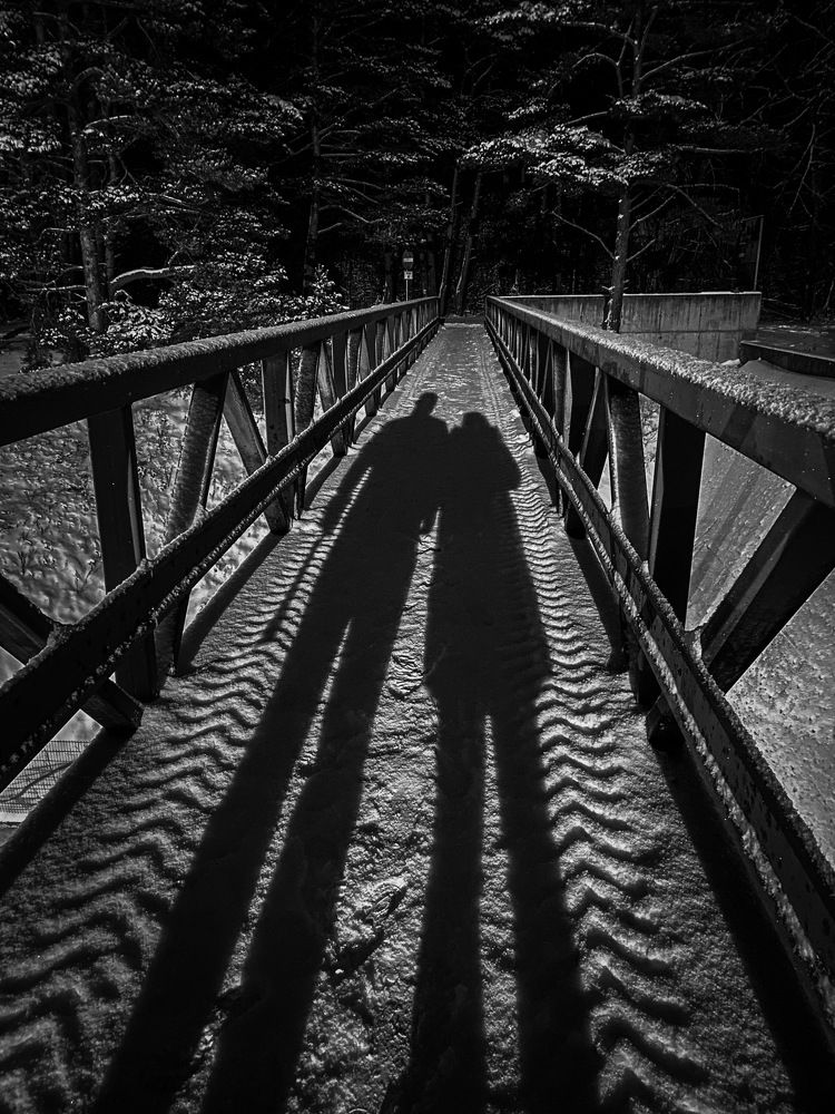 Photograph by Julia Diam