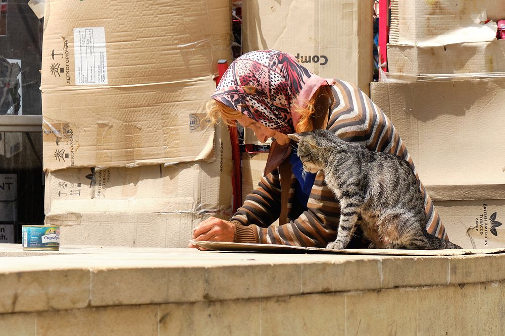 Photograph by Александр Фирстов