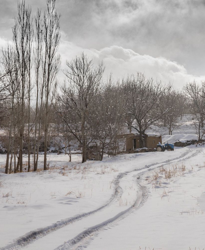 Photograph by Elham Khanpour