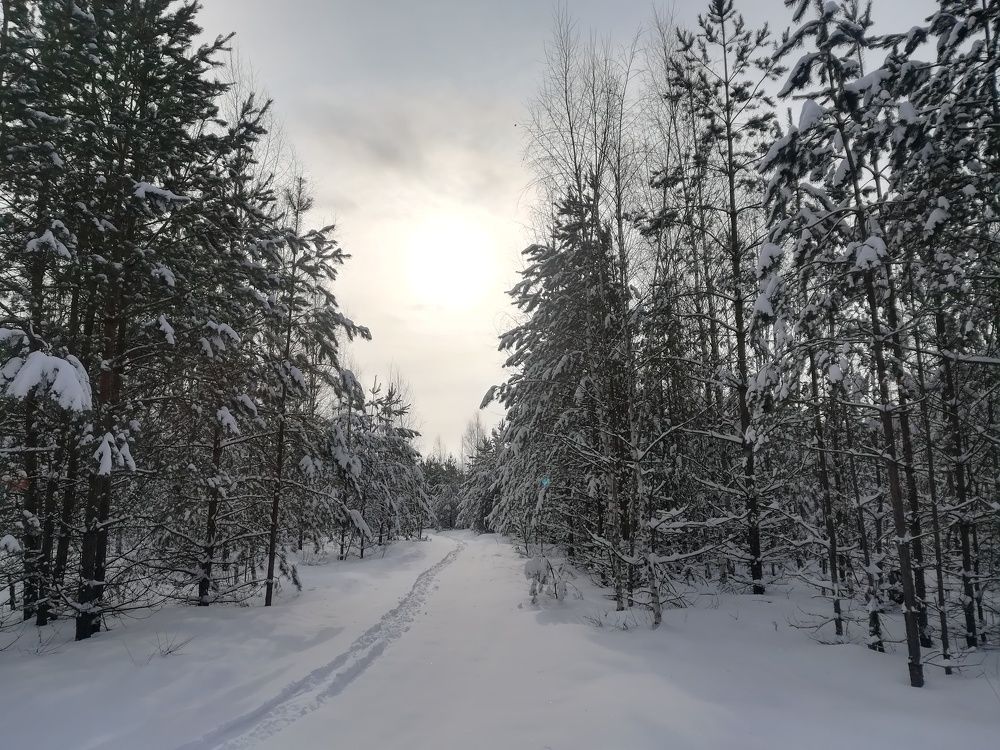 Photograph by Валерия Павлова