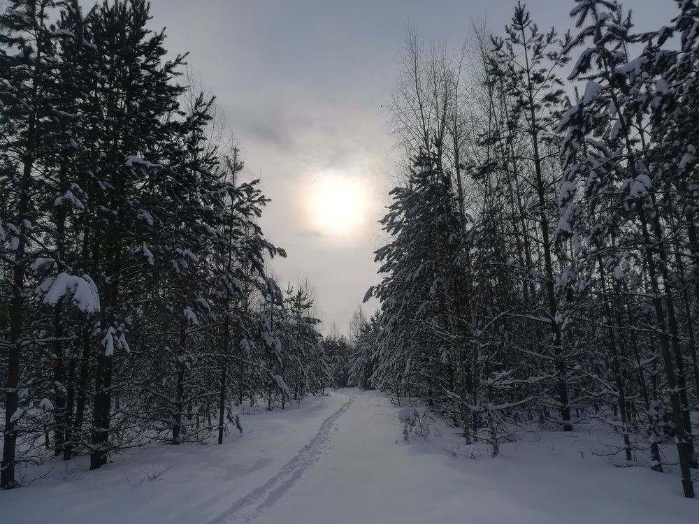 Photograph by Валерия Павлова