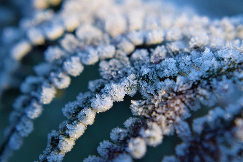 Cold