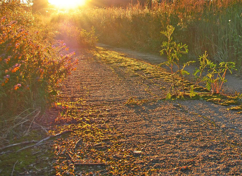 Photograph by Алексей