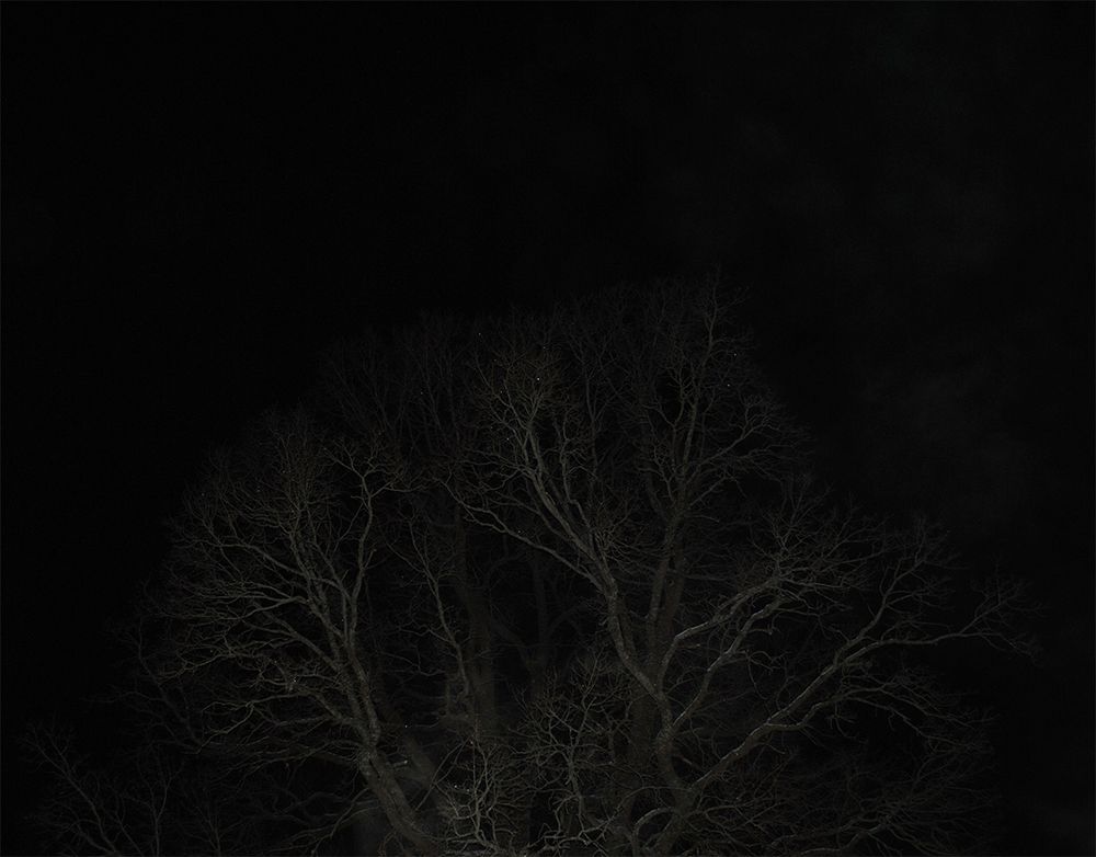 Photograph by Алексей