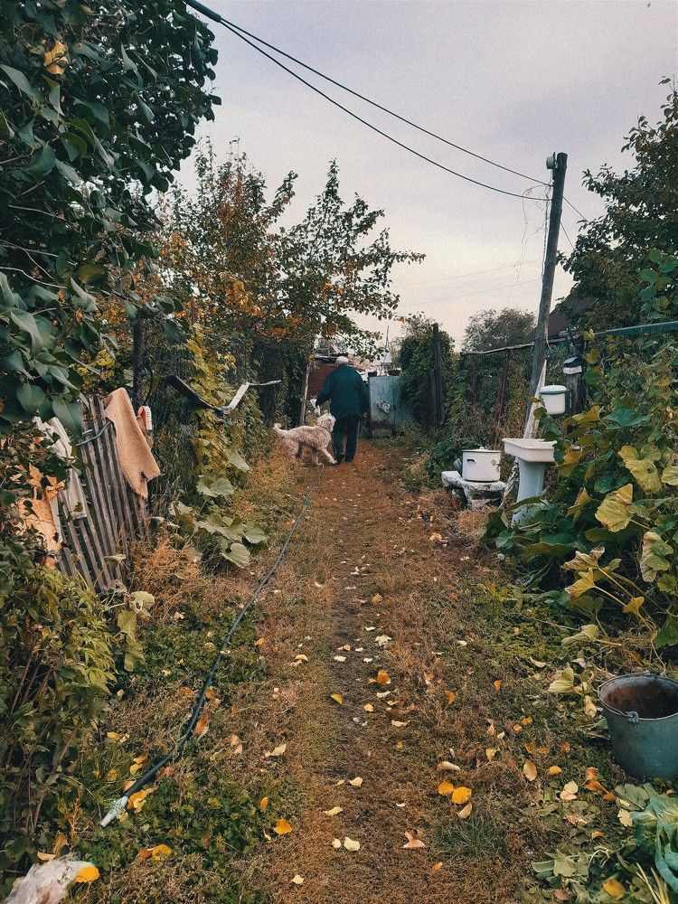 Photograph by Екатерина Землянских