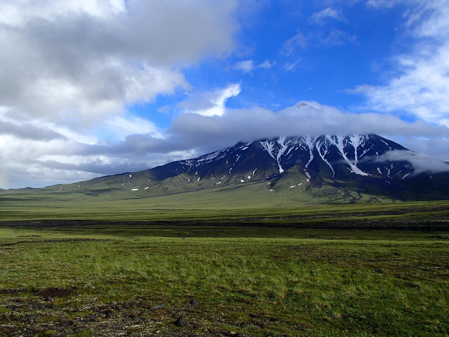 Photo #5668381