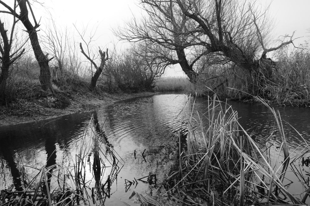 Photograph by Дмитрий Соколов