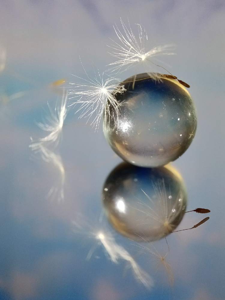 Photograph by Людмила Коробицына