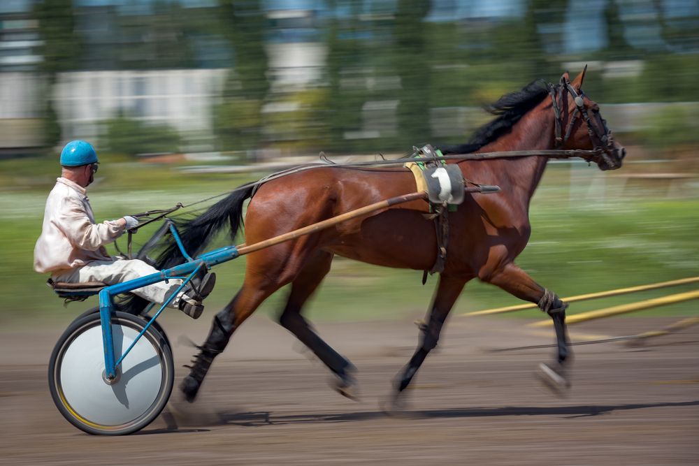 Фотография автора Юрий Юрьев
