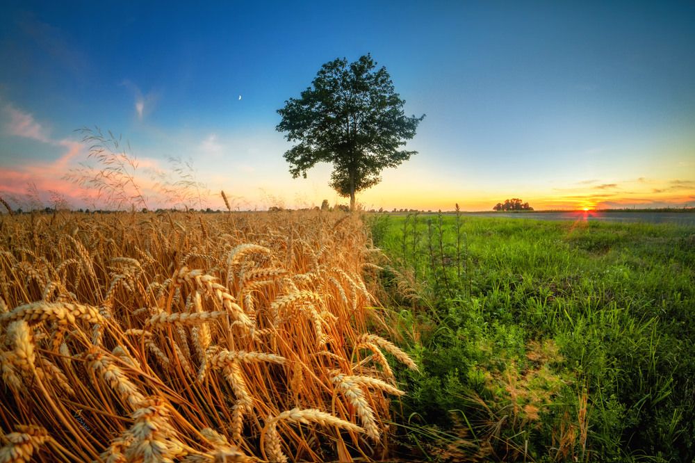 Photograph by Серж Домбровский