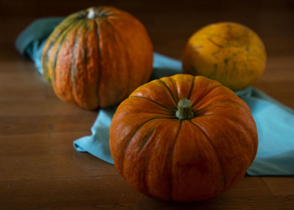 Photograph by Светлана Ионова