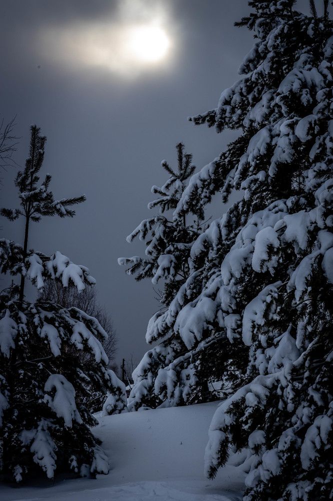 Photograph by Марина Стротова