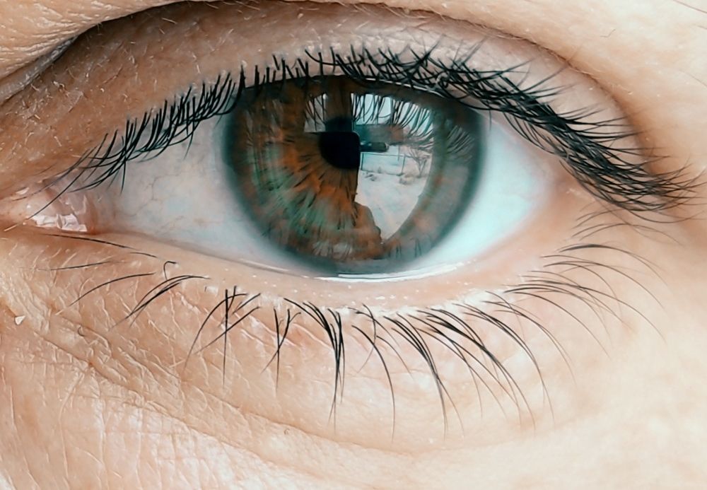 Photograph by Мария Прокопенко