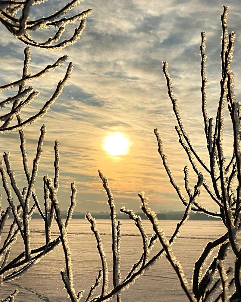 Photograph by Анатолий Андреев