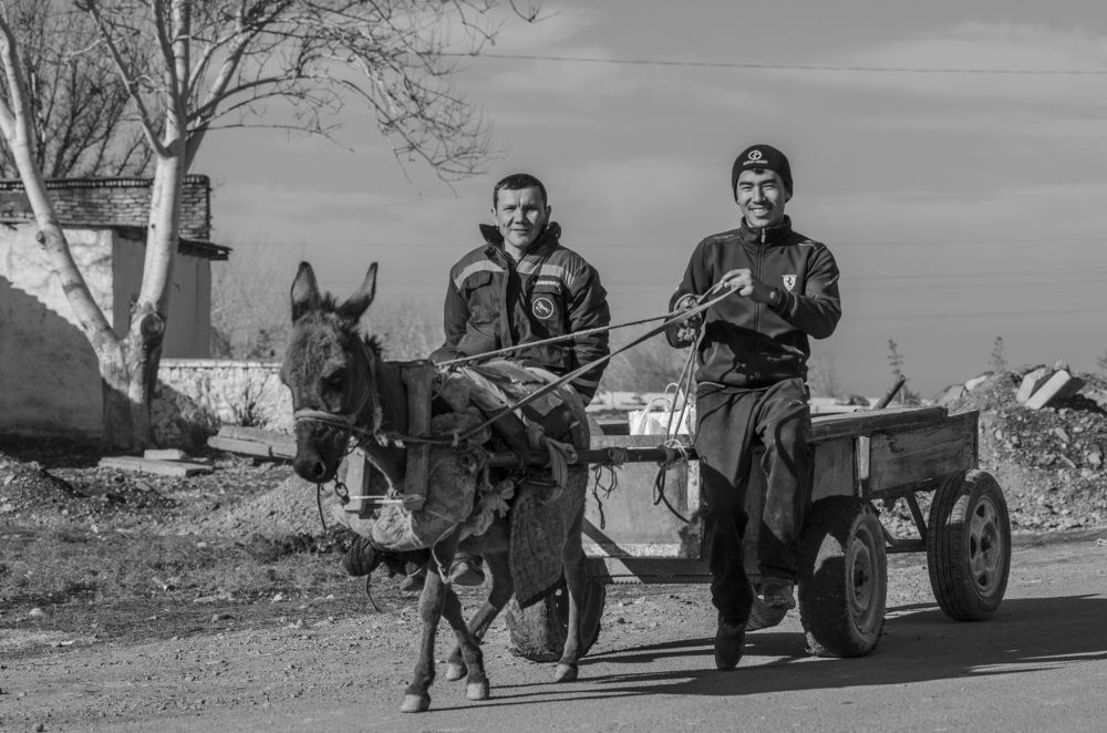 Photograph by Рузаев Дмитрий