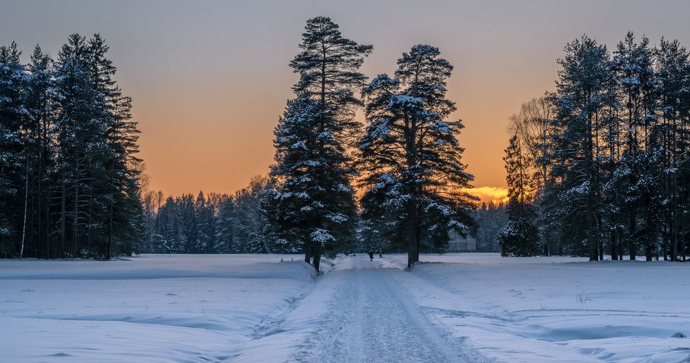 Зимние прогулки в Павловском парке.