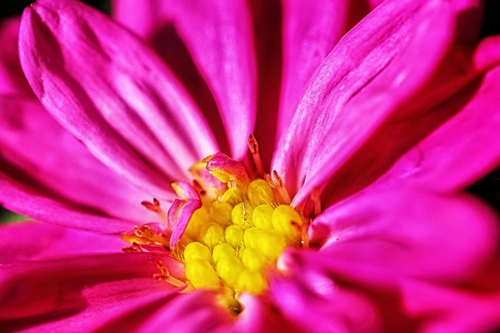 Photograph by Константин Чернуцкий