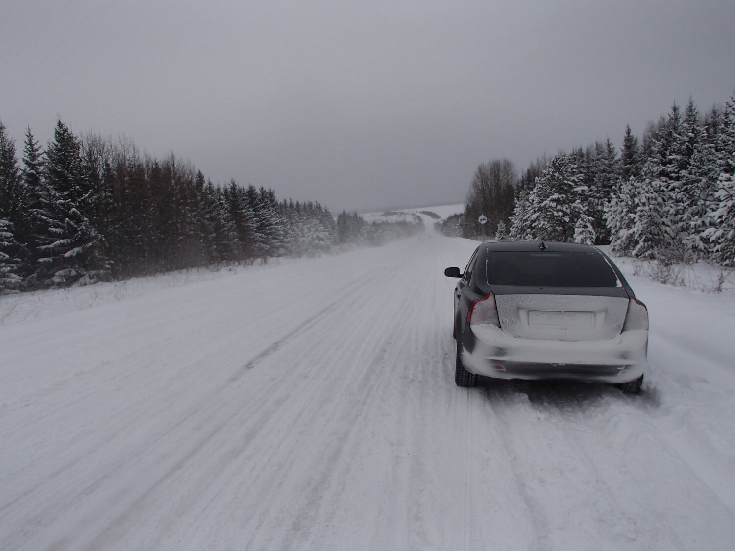 Photo #5668801