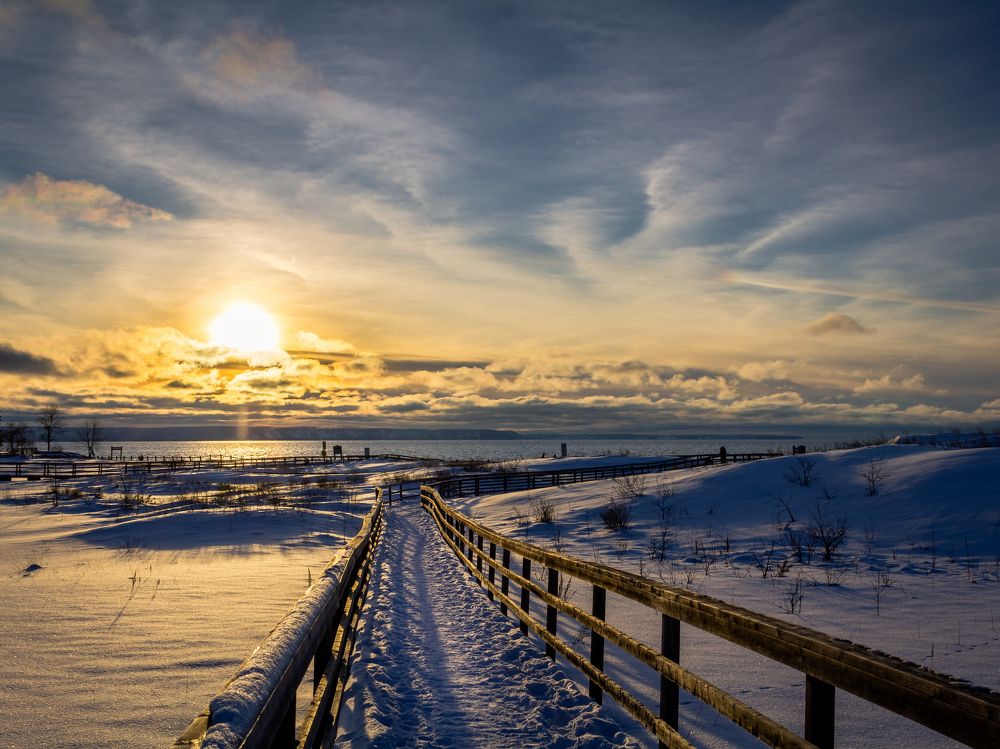 Photograph by Andrew Crome