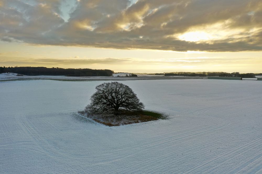 Photograph by Ernestas Balcikonis