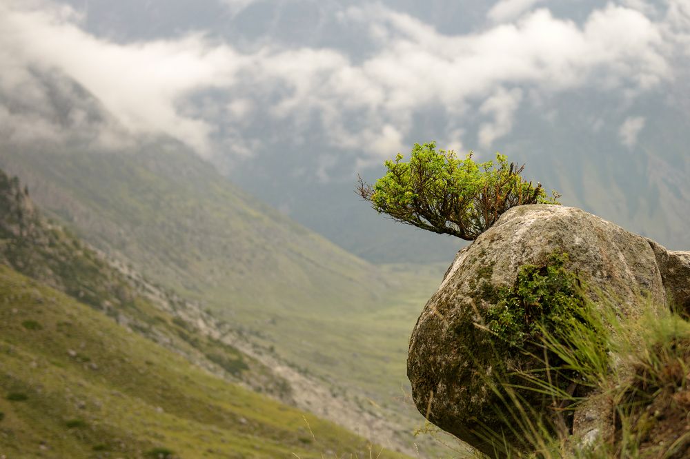 Photograph by Александр Шведов