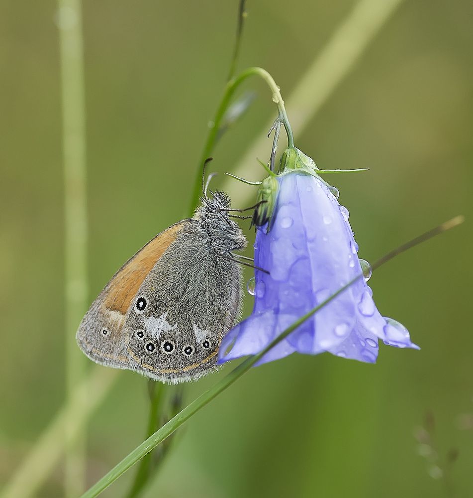 Photograph by Полина Васеева