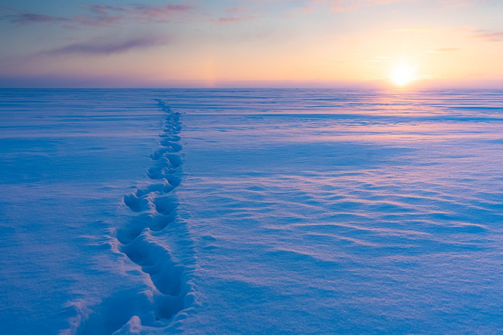 Photograph by Silja Tamme