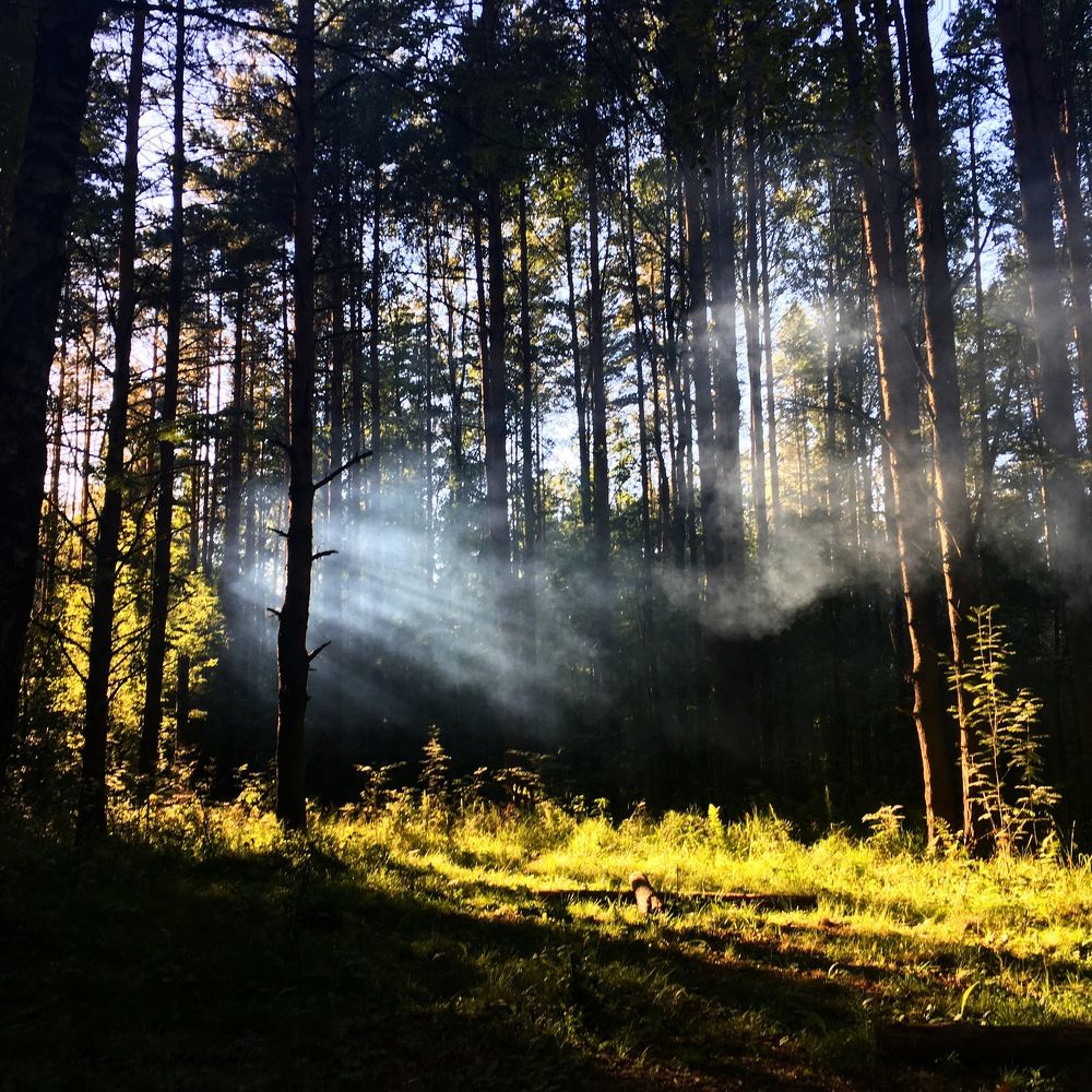 Дыхание Янино.