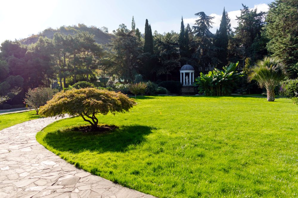 Photograph by Наталья Вялых