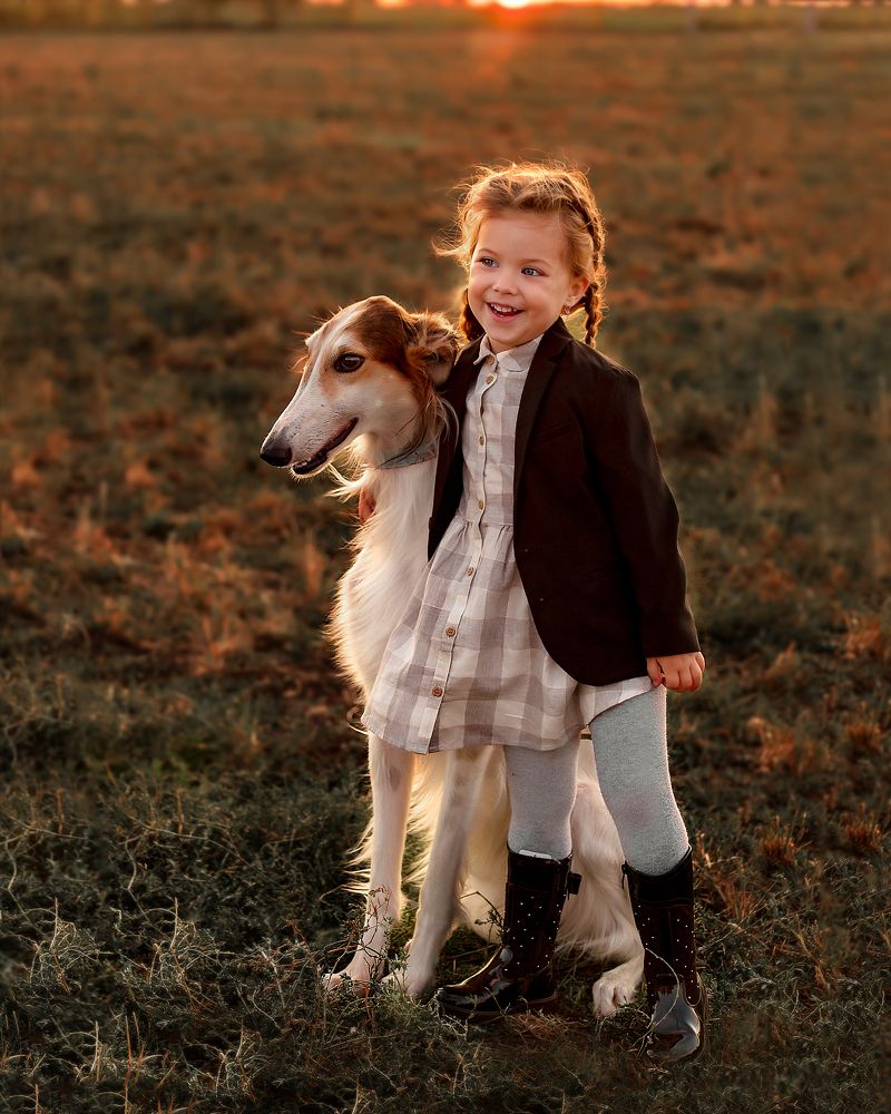 Русская борзая