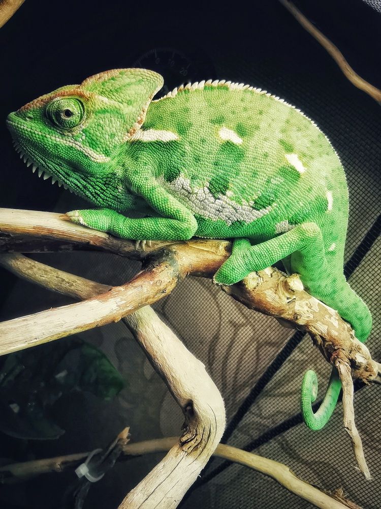 Photograph by Ольга Линк