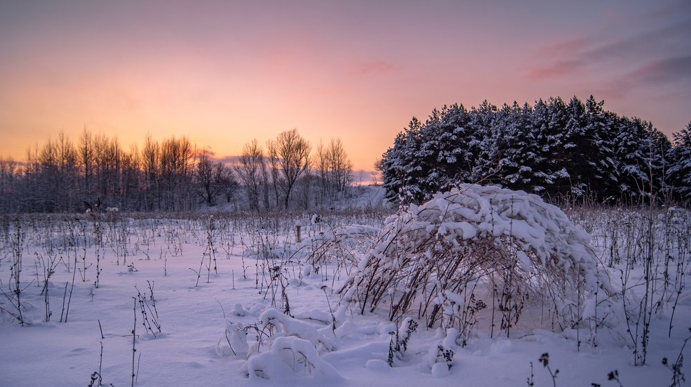 Photograph by Даниэль Чашкин