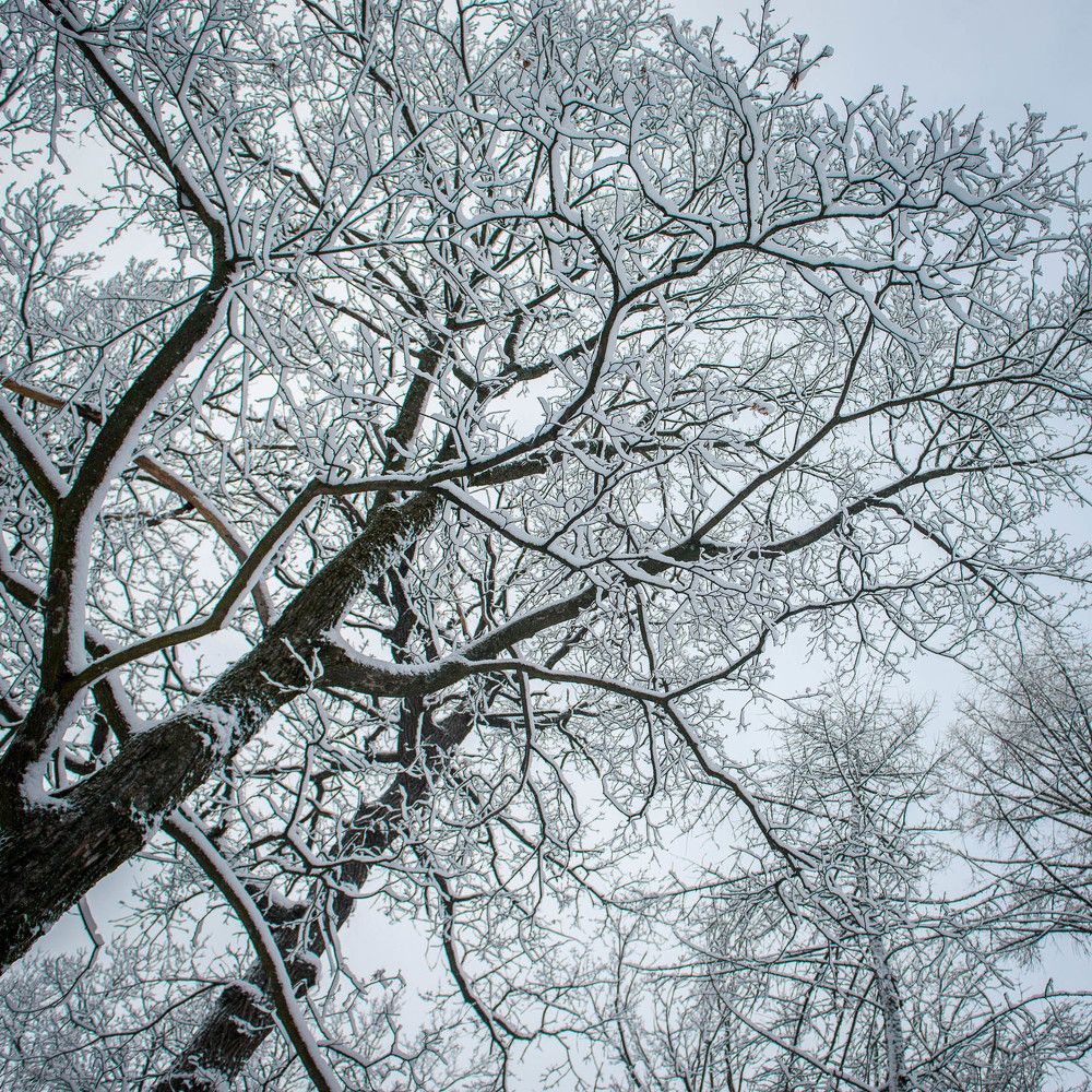 Photograph by Ирина Савенко