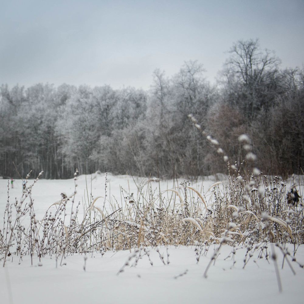 Photograph by Ирина Савенко