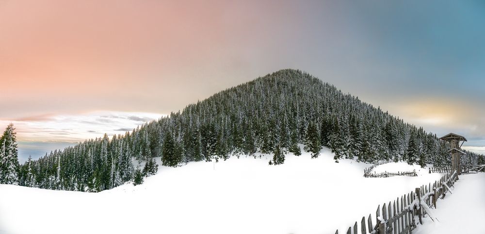 Photograph by Jeni Vladeva